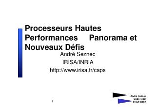 Processeurs Hautes Performances Panorama et Nouveaux Défis