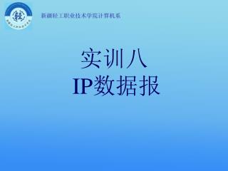 实训八 IP数据报