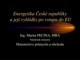 Energetika České republiky a její vyhlídky po vstupu do EU