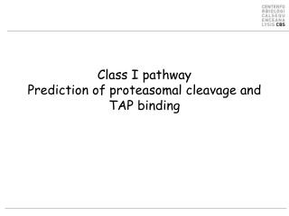 Class I pathway Prediction of proteasomal cleavage and TAP binding