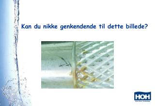 Kan du nikke genkendende til dette billede?