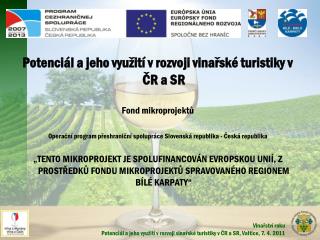 Potenciál a jeho využití v rozvoji vinařské turistiky v ČR a SR Fond mikroprojektů
