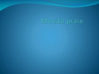 Morsko prase