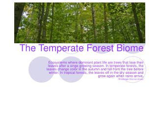 The Temperate Forest Biome