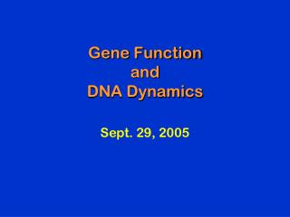 Gene Function and DNA Dynamics