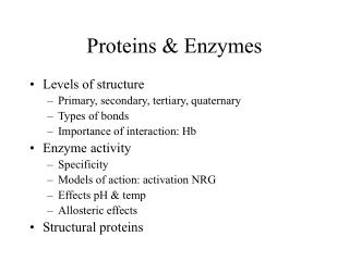 Proteins &amp; Enzymes