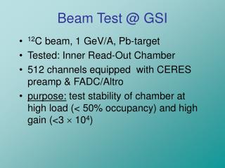 Beam Test @ GSI