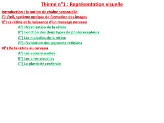 Thème n°1 : Représentation visuelle