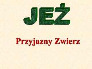 JEŻ