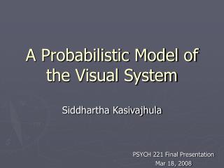 A Probabilistic Model of the Visual System