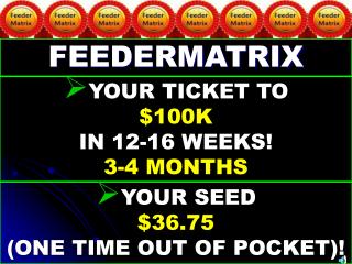 YOUR TICKET TO $100K IN 12-16 WEEKS! 3-4 MONTHS