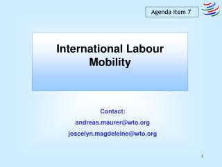 International Labour Mobility