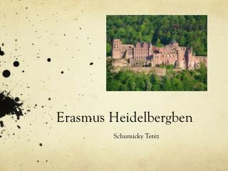 Erasmus Heidelbergben