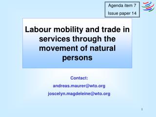 Labour mobility and trade in services through the movement of natural persons