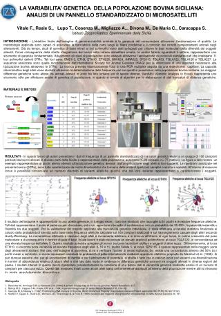 Primers marcati