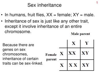 Sex inheritance