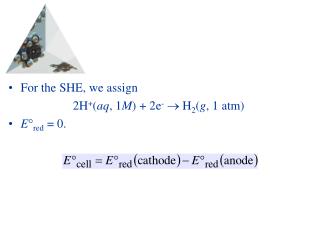 For the SHE, we assign 2H + ( aq , 1 M ) + 2e -  H 2 ( g , 1 atm) E  red = 0.