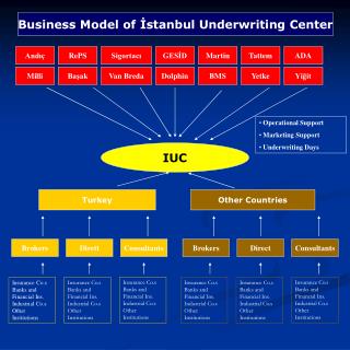 Business Model of İstanbul Underwriting Center