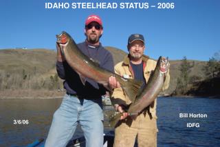 IDAHO STEELHEAD STATUS – 2006