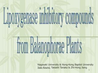 Lipoxygenase inhibitory compounds from Balanophorae Plants