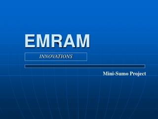 EMRAM