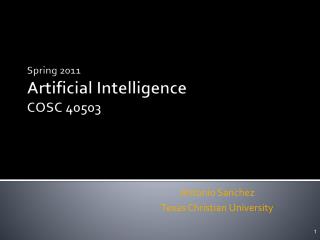 Spring 2011 Artificial Intelligence COSC 40503