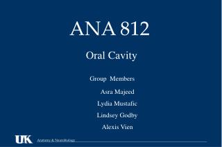 ANA 812