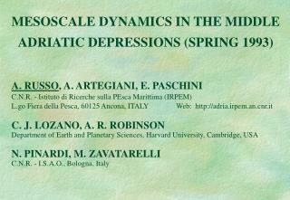 MESOSCALE DYNAMICS IN THE MIDDLE ADRIATIC DEPRESSIONS (SPRING 1993)