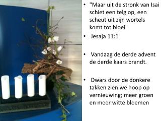 &quot;Maar uit de stronk van Isai schiet een telg op, een scheut uit zijn wortels komt tot bloei&quot;