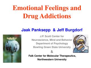 Emotional Feelings and Drug Addictions