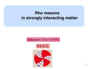 Rho mesons in strongly interacting matter