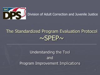 The Standardized Program Evaluation Protocol ~SPEP~