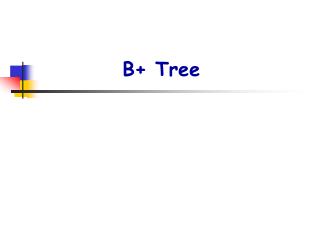 B+ Tree