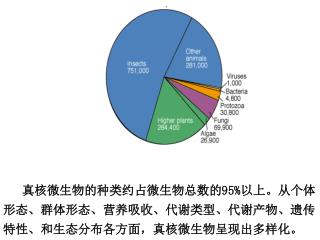 真核微生物的种类约占微生物总数的 95% 以上。从个体形态、群体形态、营养吸收、代谢类型、代谢产物、遗传特性、和生态分布各方面，真核微生物呈现出多样化。