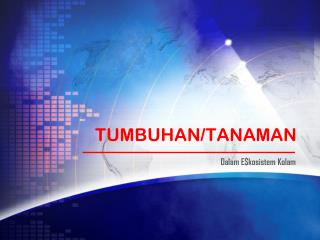 TUMBUHAN/TANAMAN