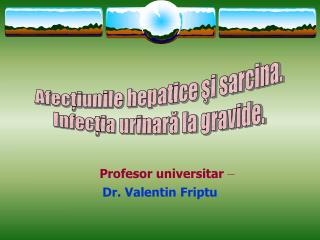Profesor universitar – Dr. Valentin Friptu
