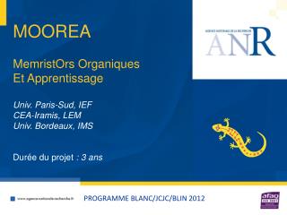 PROGRAMME BLANC/JCJC/BLIN 2012