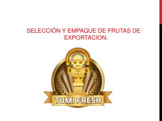 SELECCIÓN Y EMPAQUE DE FRUTAS DE EXPORTACION.