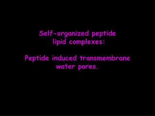 Self-organized peptide lipid complexes: Peptide induced transmembrane water pores.