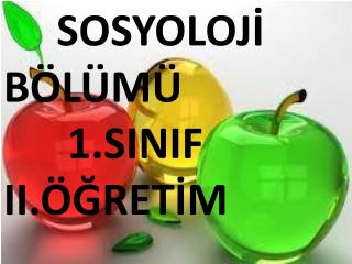 SOSYOLOJİ BÖLÜMÜ 1.SINIF II.ÖĞRETİM