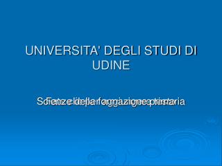 UNIVERSITA' DEGLI STUDI DI UDINE