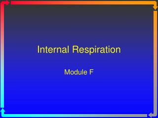 Internal Respiration