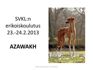 SVKL:n erikoiskoulutus 23.-24.2.2013 AZAWAKH