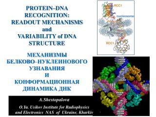 PROTEIN–DNA RECOGNITION: READOUT MECHANISMS and VARIABILITY of DNA STRUCTURE МЕХАНИЗМЫ
