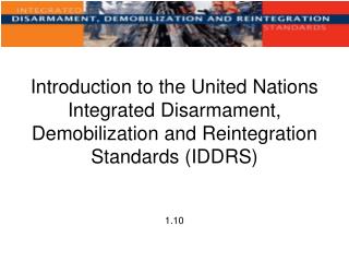 Introduction to the United Nations Integrated Disarmament, Demobilization and Reintegration Standards (IDDRS)
