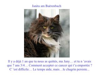 Janita am Baërenbach