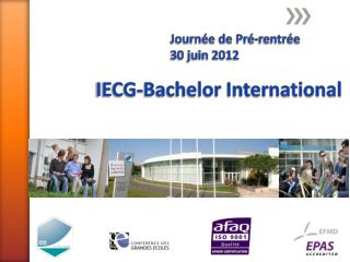 IECG-Bachelor International