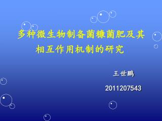 多种微生物制备菌糠菌肥及其相互作用机制的研究