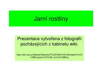 Jarní rostliny