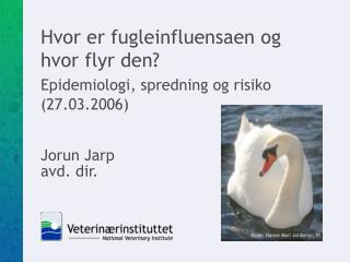 Hvor er fugleinfluensaen og hvor flyr den? Epidemiologi, spredning og risiko (27.03.2006)